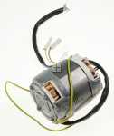 Hood Motors - 4055224192 Motor Anticlockwise Rotation [Electrolux Aeg]