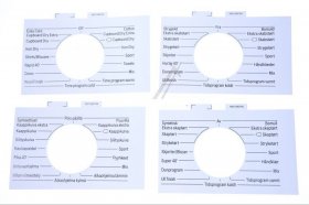 Program Washer Disc - 10018263 Legend [Bosch Siemens]