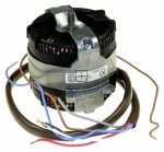 Hood Motors - 4055493748 Motor Complete [Electrolux Aeg]