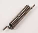 Atag Spring - 88029769 401049 Spring Hinge Ri