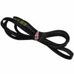 Poly v belt - C00377884 481281718153 Belt [Whirlpool Indesit]
