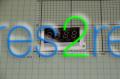 Amica Display Unit - Anzeige - 1037415